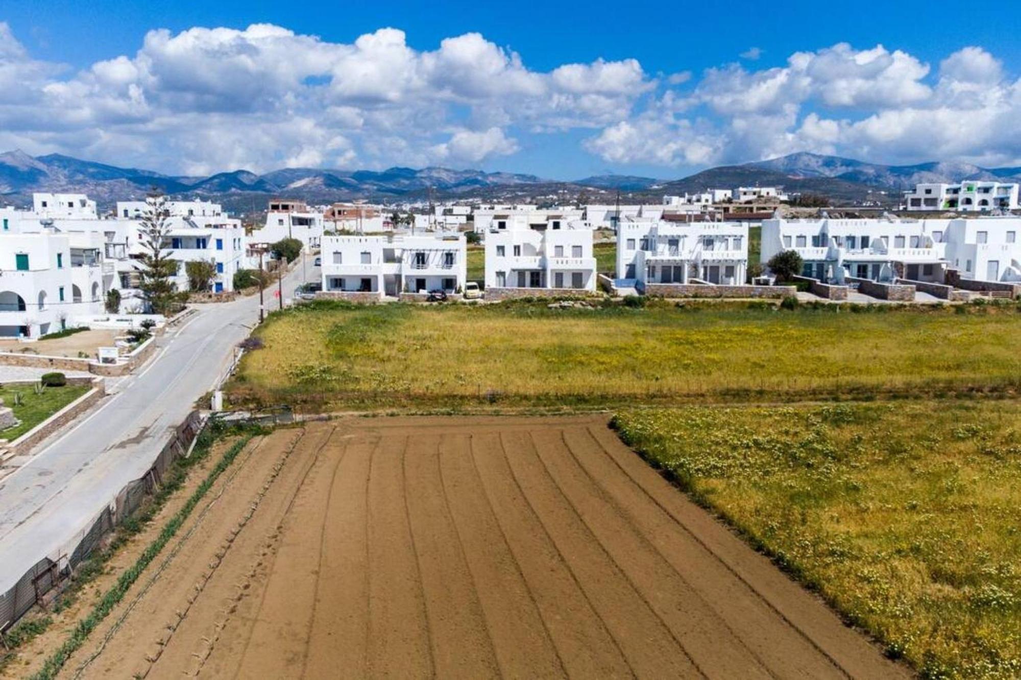 Naxos, Agia Anna, Sunset View, Olive House Agia Anna (Naxos) Exterior foto